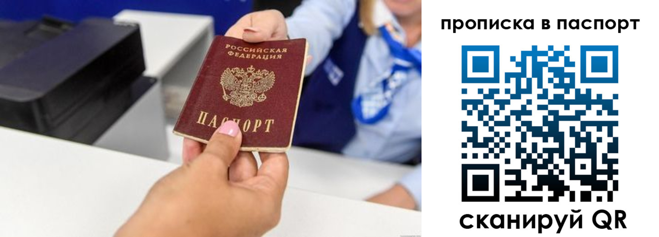 регистрация в Ростовской области